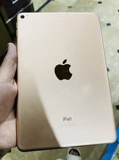 Ipad Mini 5 64gb Pubg beaat.