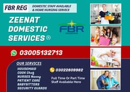 Provide Maids ,Driver, Helper , Patient Care , Babysitter, Cook , chef