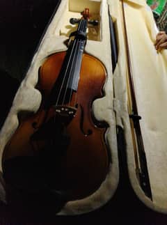 Violins