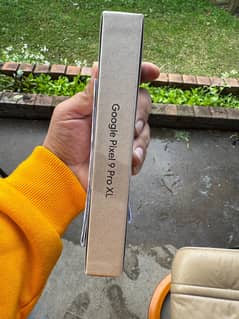 Google Pixel 9 Pro XL 256 GB (non PTA)