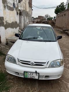 Suzuki cultus