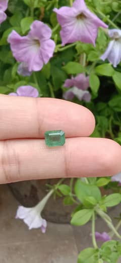 Panjsher Emerald 2.56 Faceted Cutted Gemstone