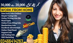 Part time/full time/Online/Assignments/Typing/Data entry/Student/Teac