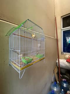 Canary