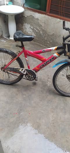 cycle