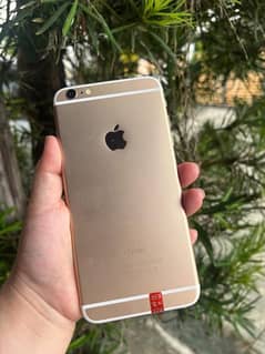 iPhone 6 plus 128 GB my WhatsApp number 03293819821