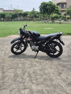 ybr