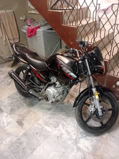 Yamaha ybr