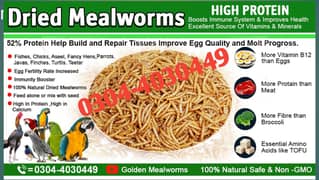 Hens, parrot, pigeon, Finches,Fish,Dove,Dry Mealworm All Birds Feed