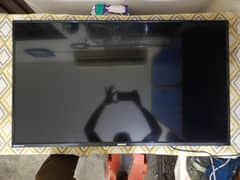Orient 43Inch 03004335183