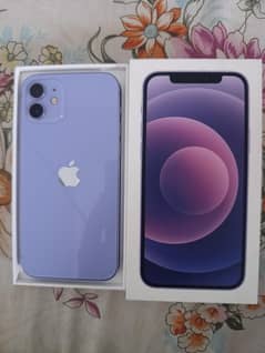 iphone 12 Pta Approved