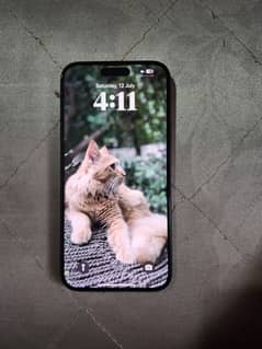 Iphone 15 plus