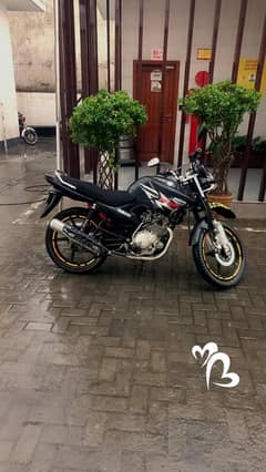 YBR 125/G