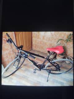 specialized