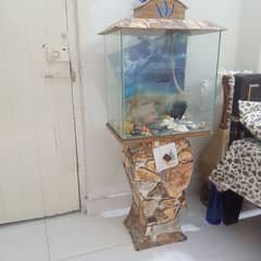 aquarium with stand