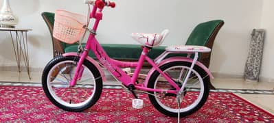 Brand New Scratchless Condition.  YJ Baby girls cycle, Size 16