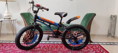 Odessy Fat Boy Bicycle. Size 20. Brand New, Scratchless Condition