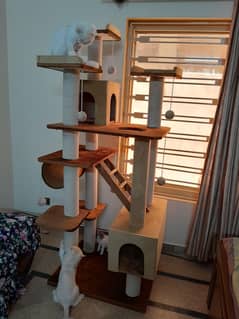 Trending scratcher for cats for sale