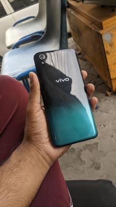 Vivo