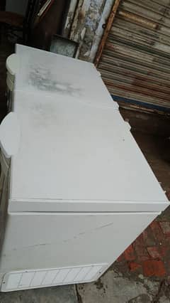 2 Door Freezer