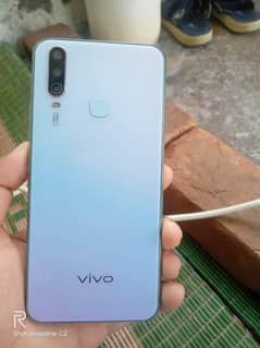 vivo
