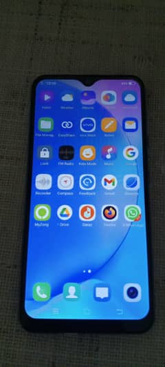 Vivo