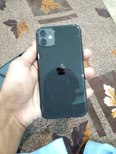 shaikh