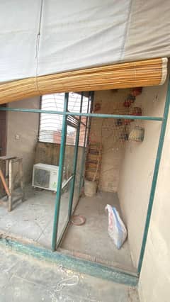 Birds big Cage as colony