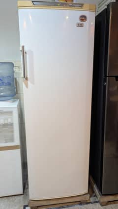 SG FREEZER