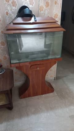 Large fish tank + wooden stand