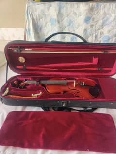 Italian Violin in mint Condition