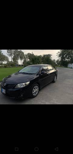 corolla