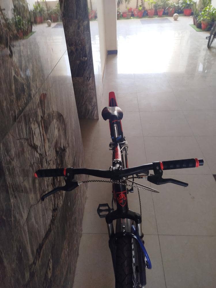 Mountain Bicycle 1