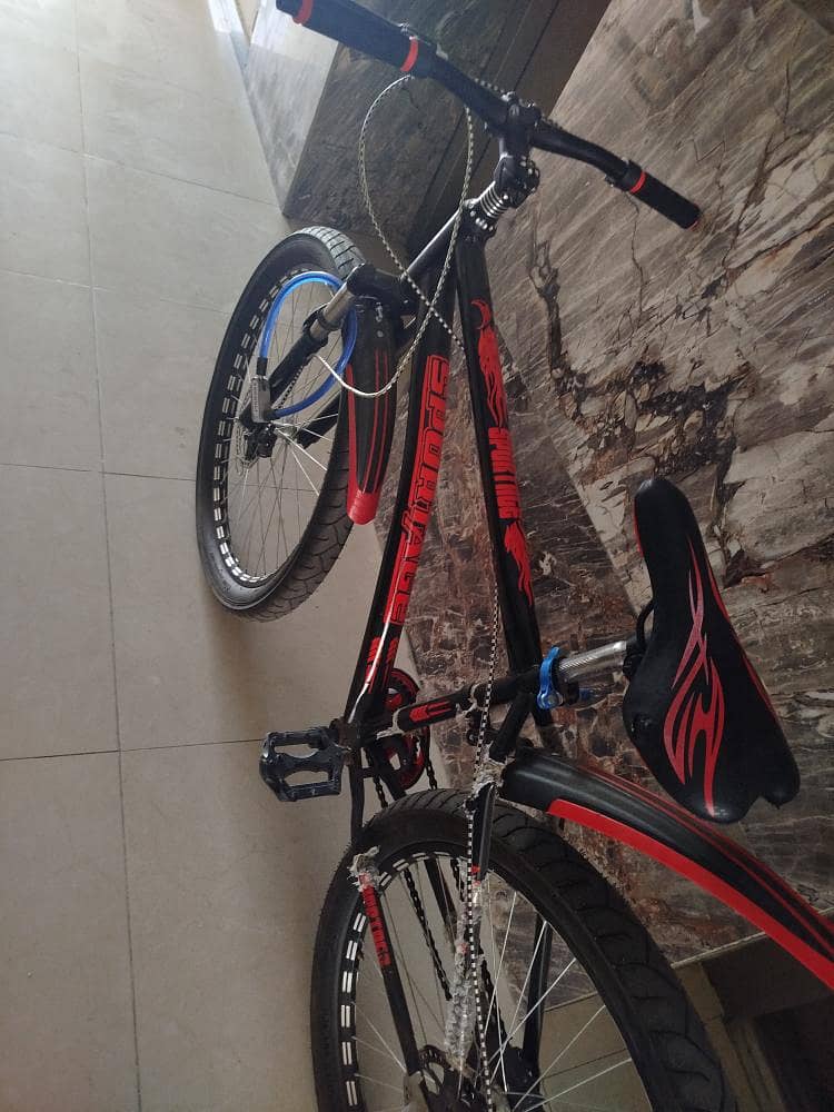 Mountain Bicycle 2