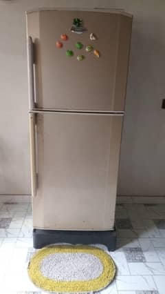 large size fridge
