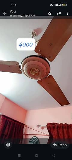 ceiling fans