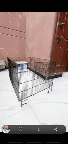 Cat Cage