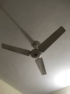 ceiling