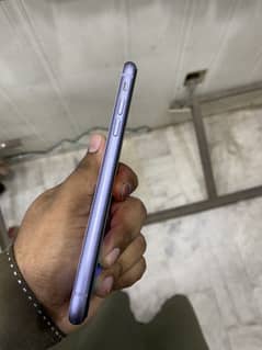 Ip11