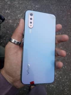 VIVO