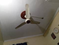 ceiling fan for sale