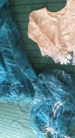 wedding Formal lehanga in Zinc and baby pink color