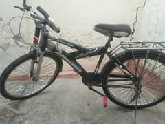 Mountain Bikes