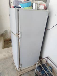 PEL  fridge