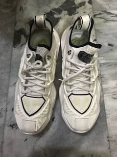 OGR shoes