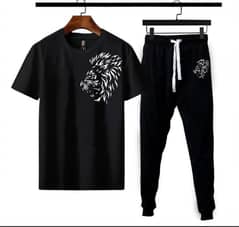 Men's Polyester Printed Track Suit - 2 Pcs