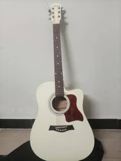 professional guitar 