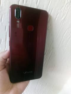 vivo
