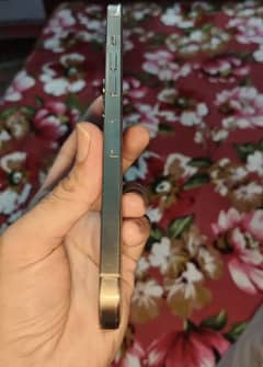 I phone 12 pro max