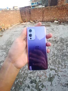 one plus 9